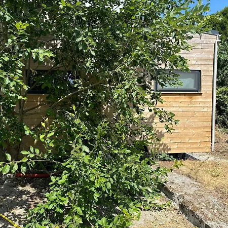 Appartement Cozy And Comfortable Tiny House Beaumont